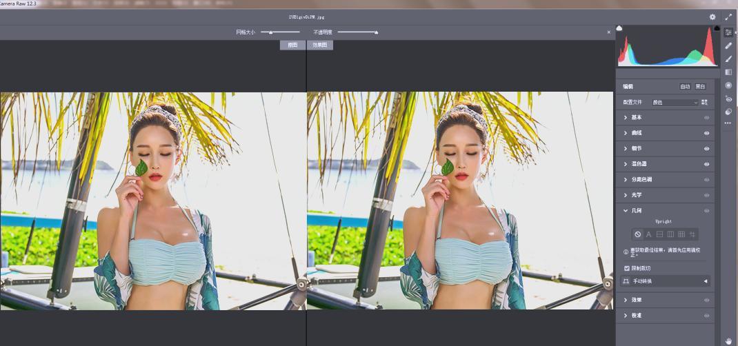 Adobe Camera Raw(RAW处理工具)v18.0.0中文版